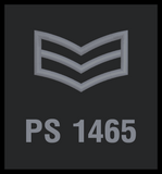 New Style Sergeants Custom Patch